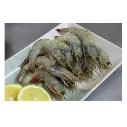 PRAWN 26/30 700G