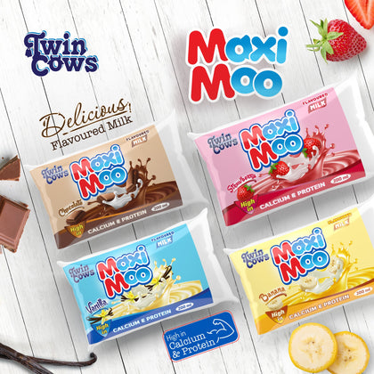 MAXI MOO STRAW FLAVOURED MILK DRINK 250ML